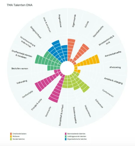 TMA talentanalyse
